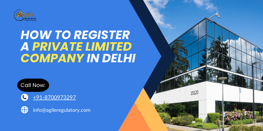Private Limited Company Registration in Delhi