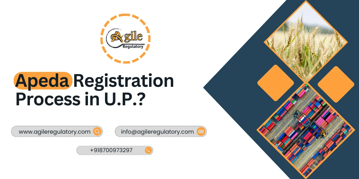 APEDA Registration Process in UP