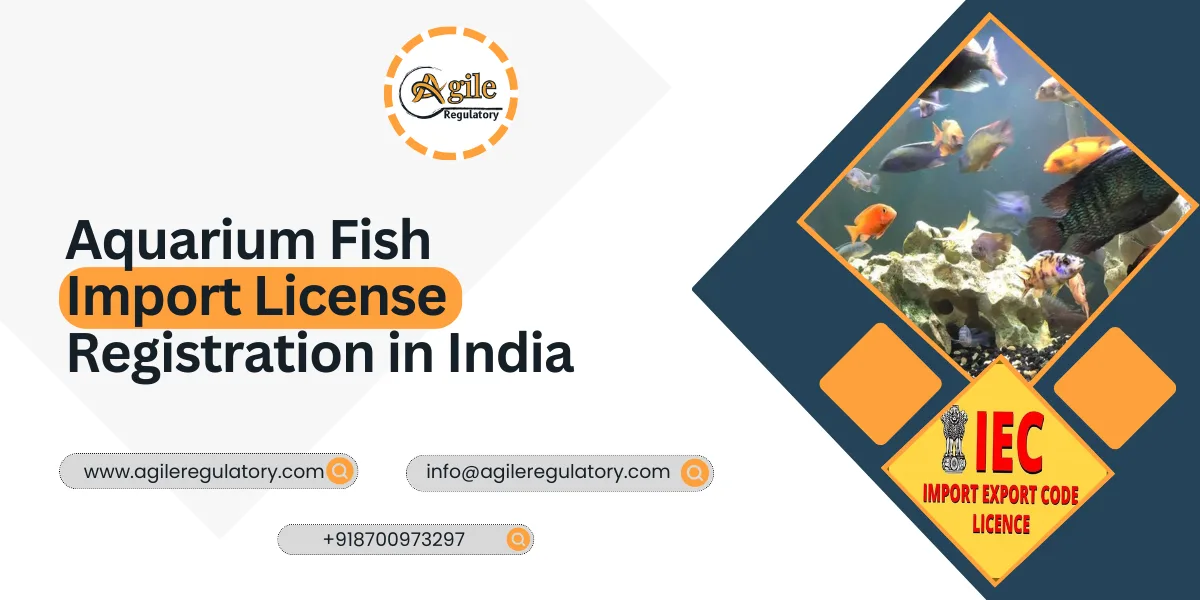 Aquarium Fish Import License Registration in India