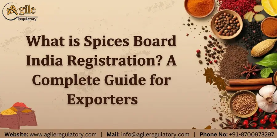 Spices Board India Registration Guide for Exporters