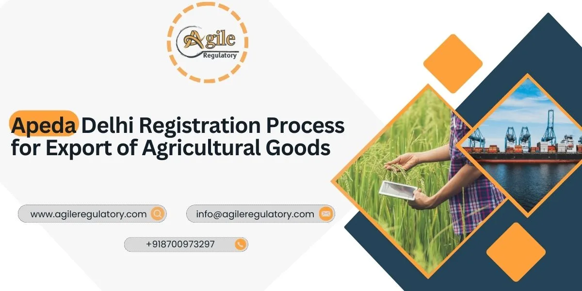 APEDA Delhi Registration Guide for Exporters
