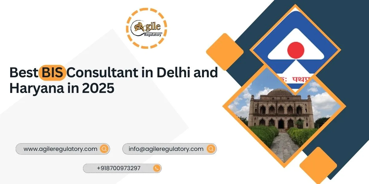 Best BIS Consultant in Delhi and Haryana in 2025