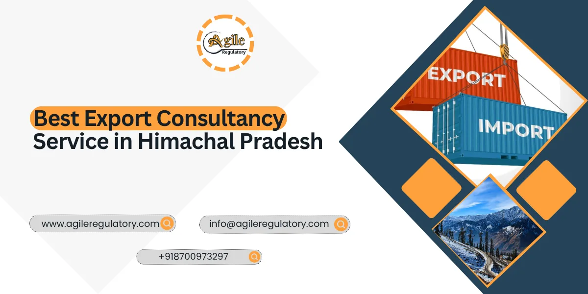 Export Consultancy Services in Himachal Pradesh India