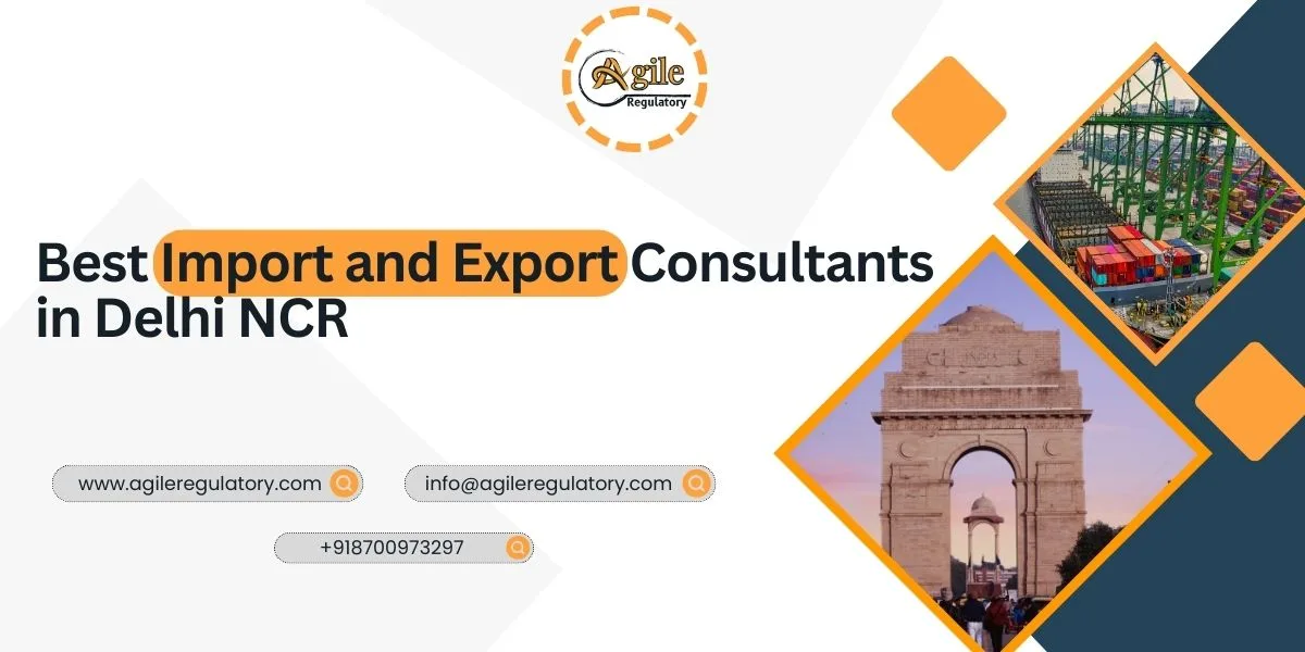 Best Import and Export Consultants in Delhi NCR