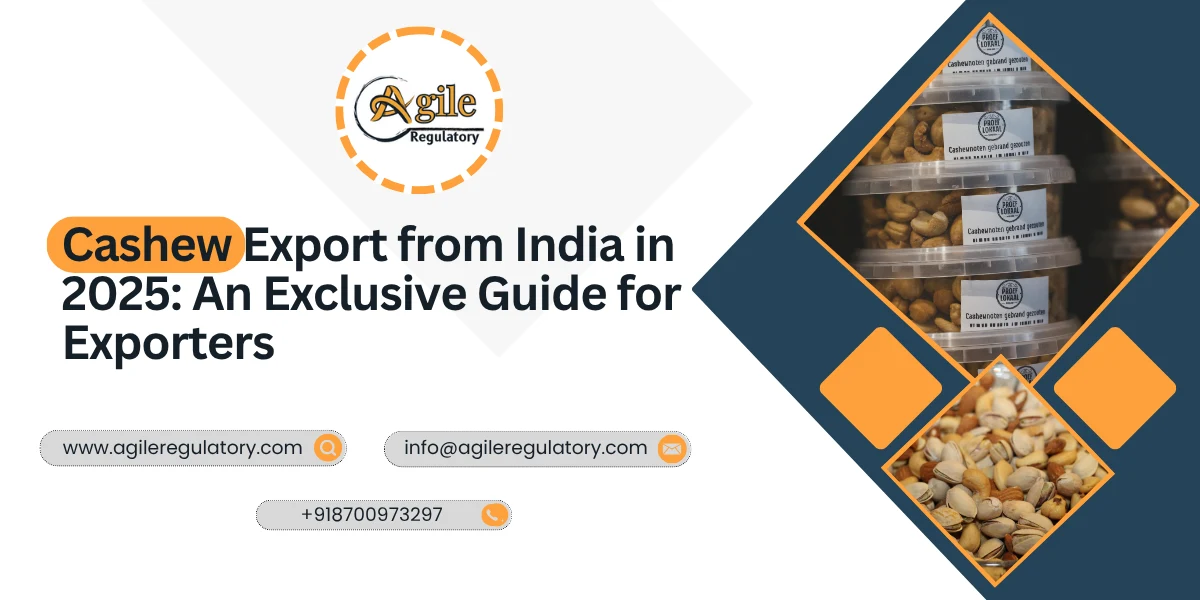 CEPCI Guide for Cashew Export from India 2025