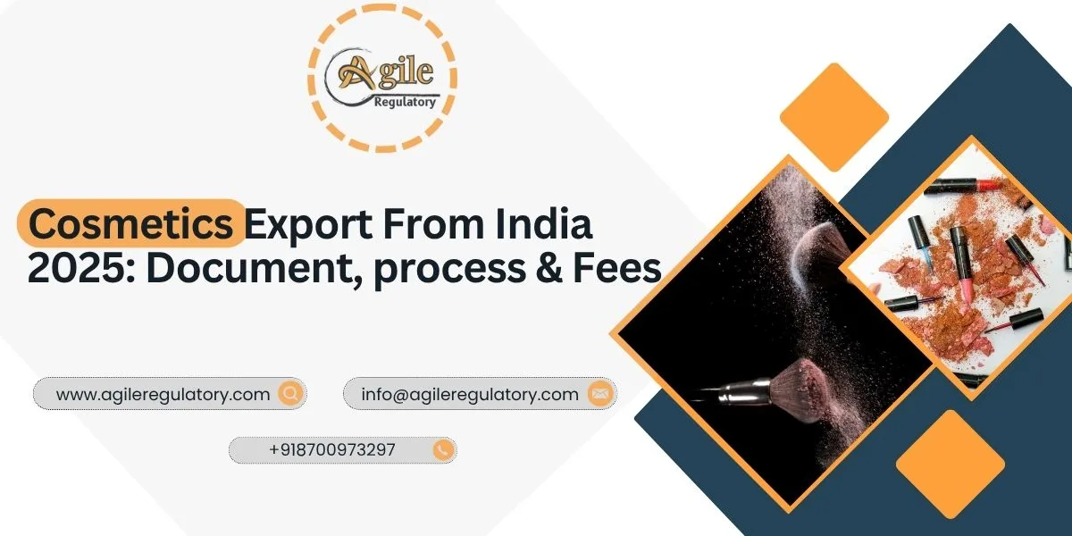 How to Export Cosmetics from India in 2025