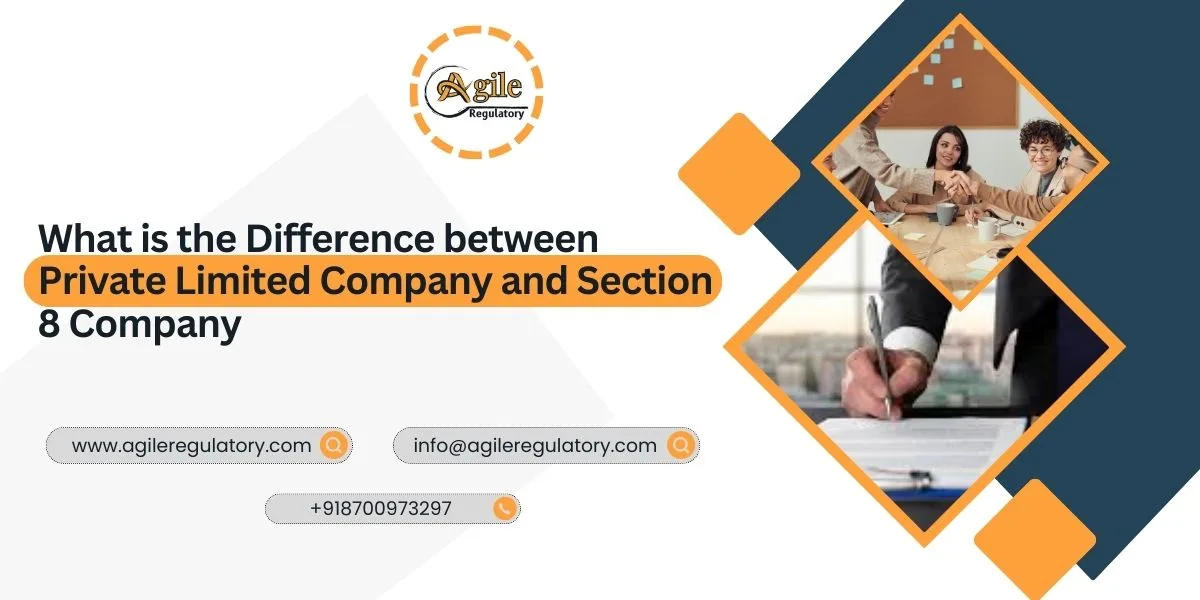 Private Limited vs Section 8 Company Difference
