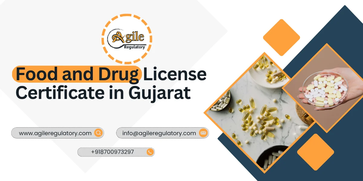 Drug License Gujarat: Food and Drug License
