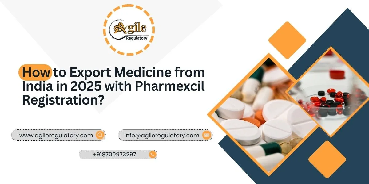 How to Export Pharmaceuticals from India in 2025