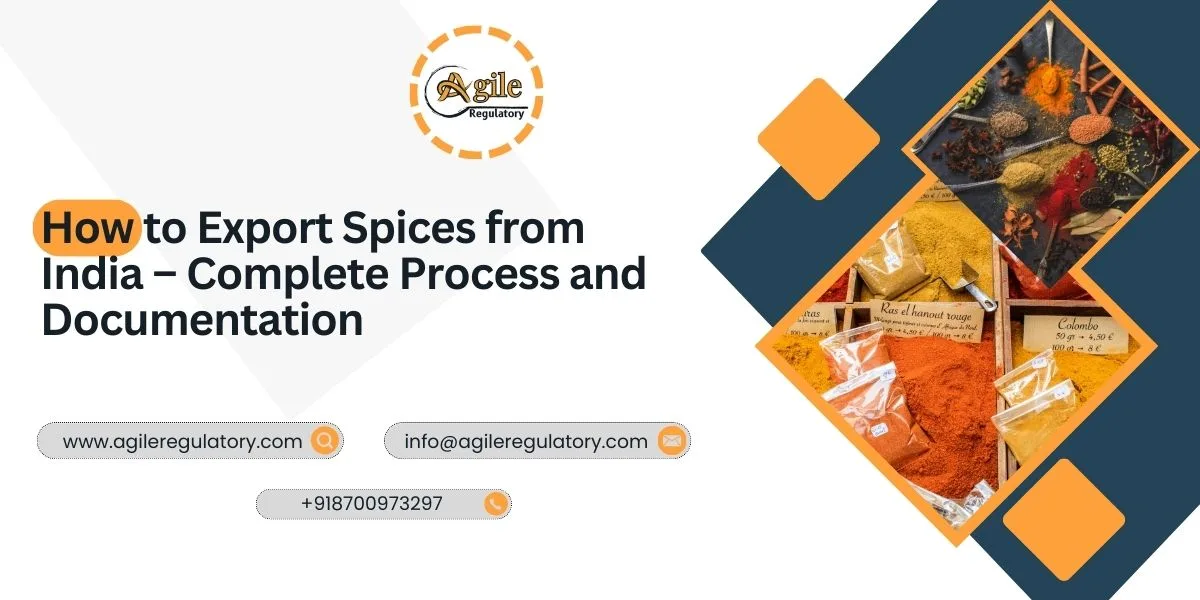 How to Start Spices Export Business in India