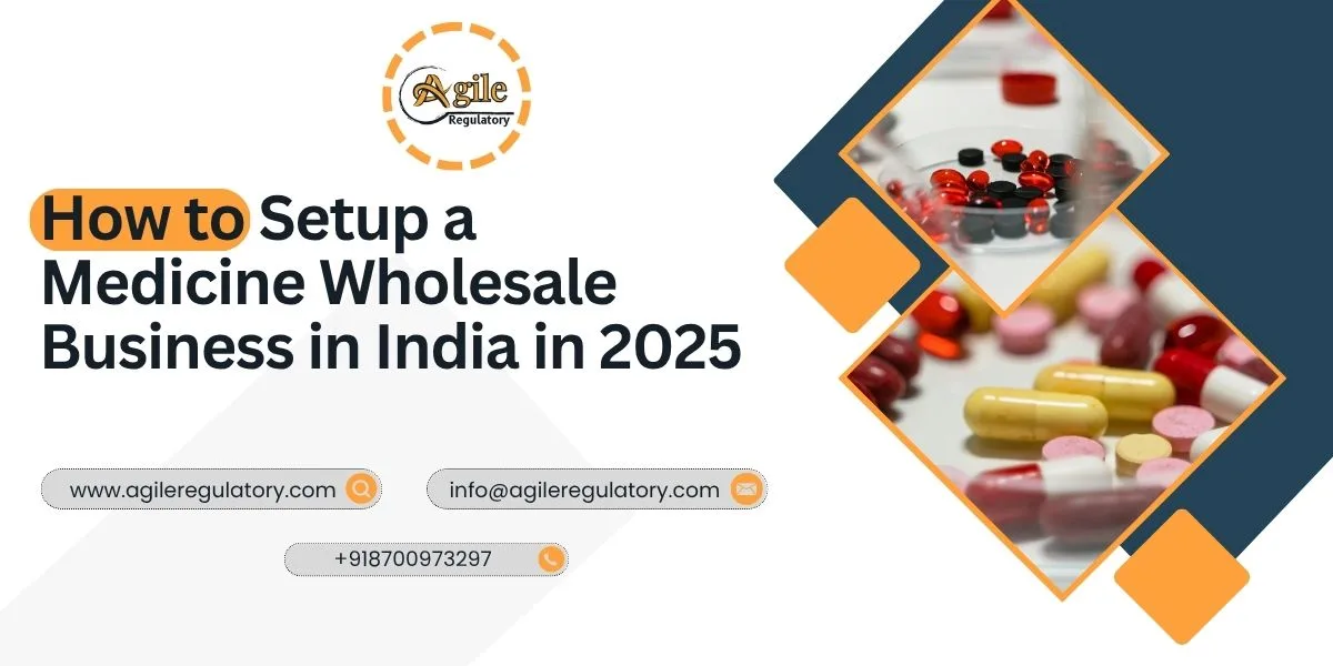 How to Setup a Medicine Wholesale Business in India in 2025