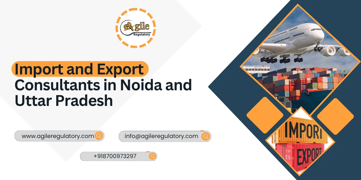 Import and Export Consultants in Noida and Uttar Pradesh