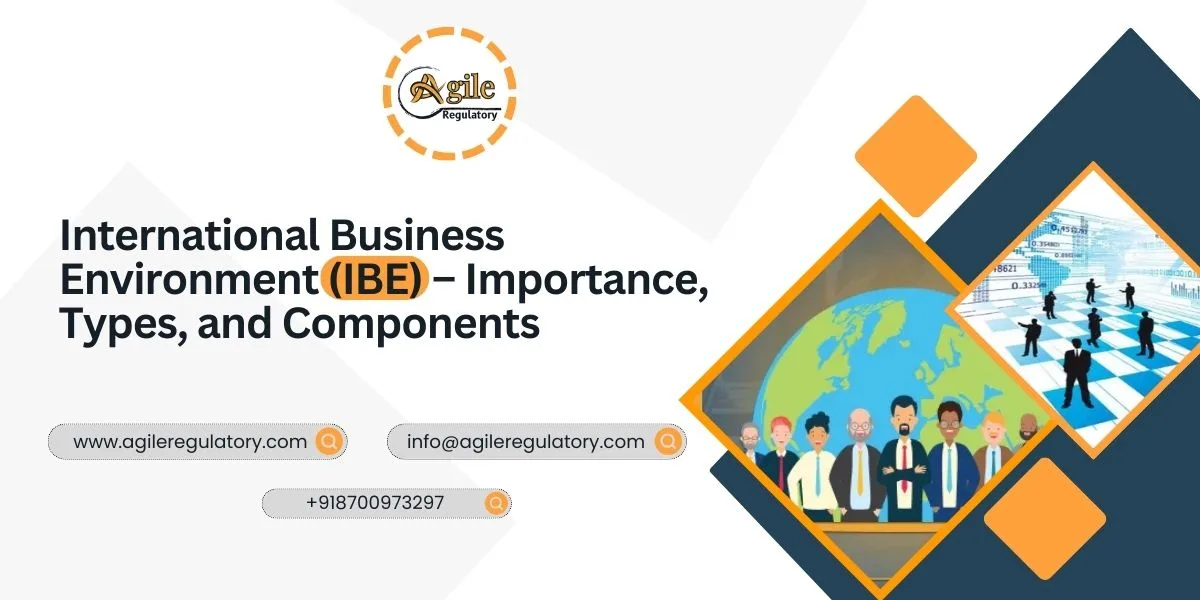 International Business Environment: Types & Importance