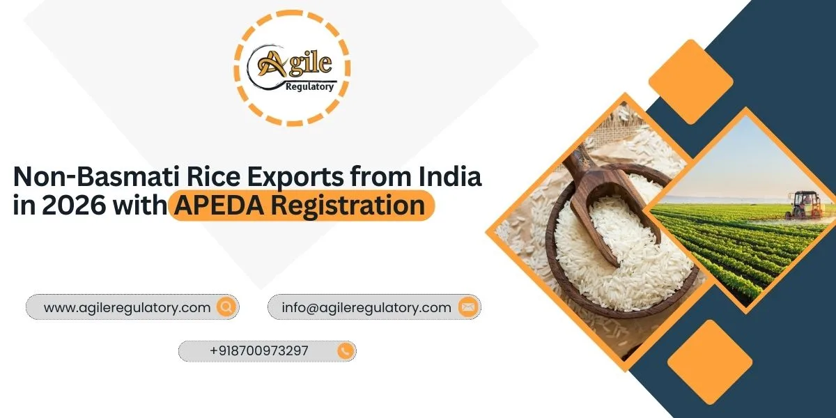 Non-Basmati Rice Exports from India in 2026 with APEDA Registration