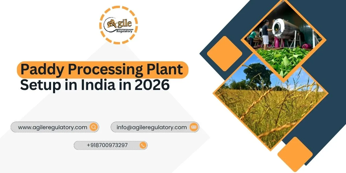 Paddy Processing Plant Setup in India in 2026 