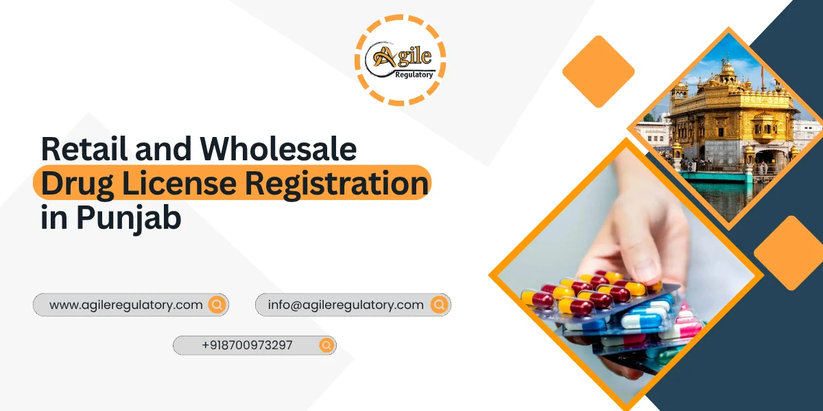 Retail and Wholesale Drug License Registration in Punjab