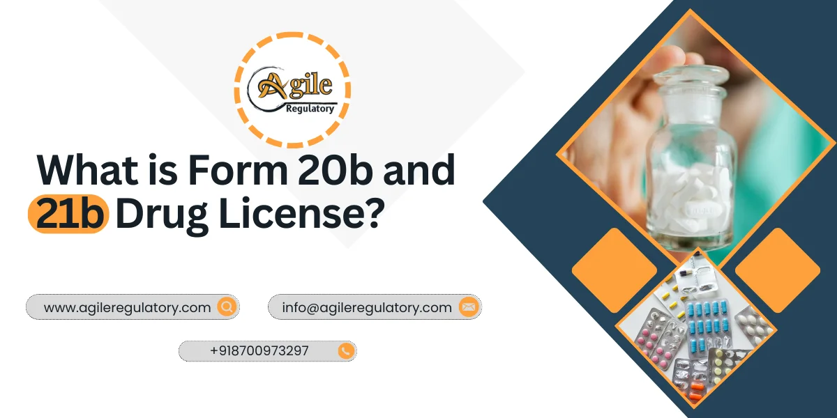 What is Form 20b and 21b Drug License?