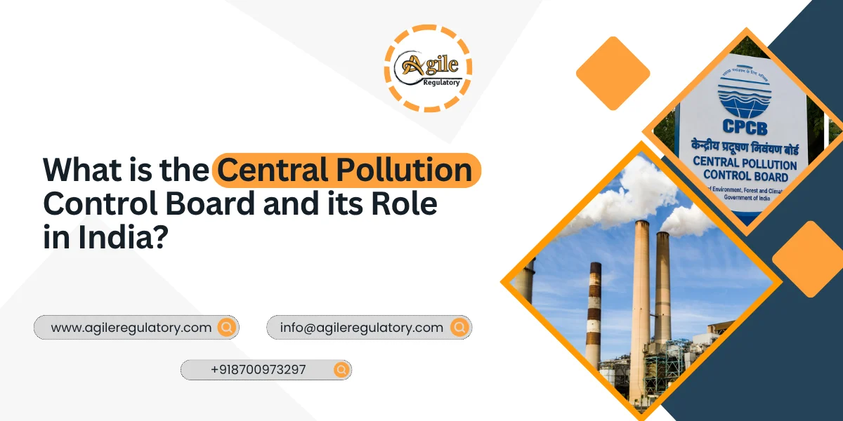 Central Pollution Control Board India: Complete Overview
